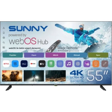 Sunny SN55QUPRL-W02M 55 inç