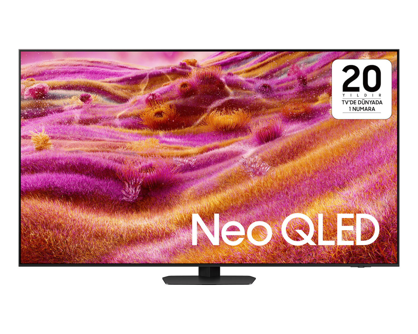 Samsung Neo QLED QN90F 65 inç